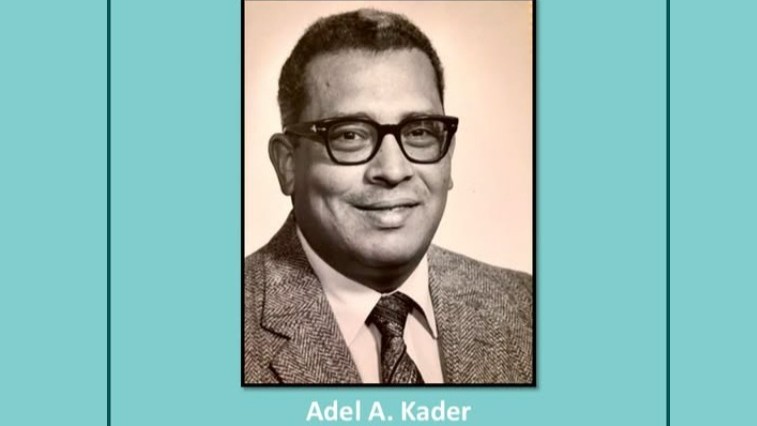 Kader b.jpg